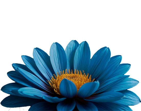 Blue Flower